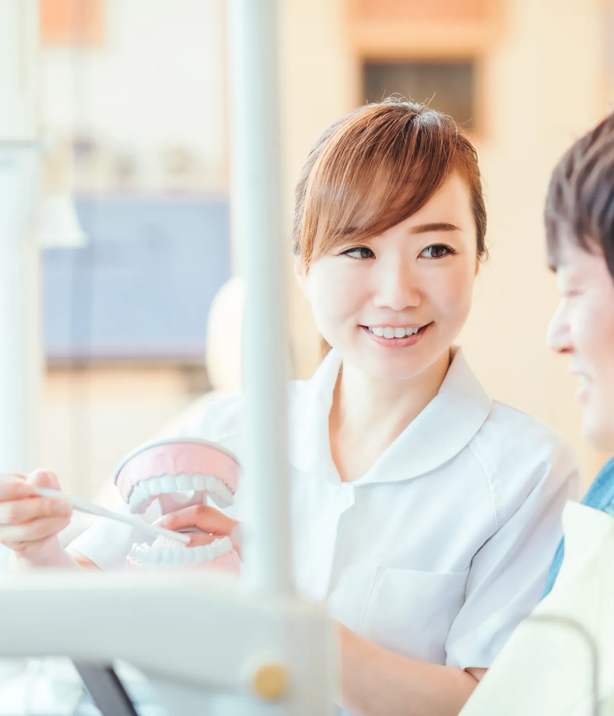 歯科衛生士が歯の模型で患者に説明している様子